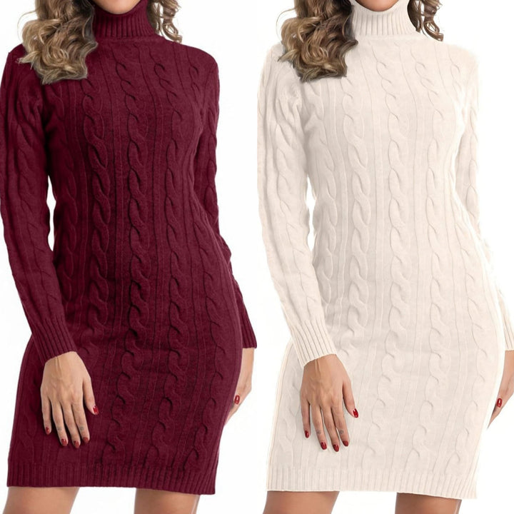 Abito in maglia collo alto pesante con motivo intreccio morbido e caldo Bordo Level Stores