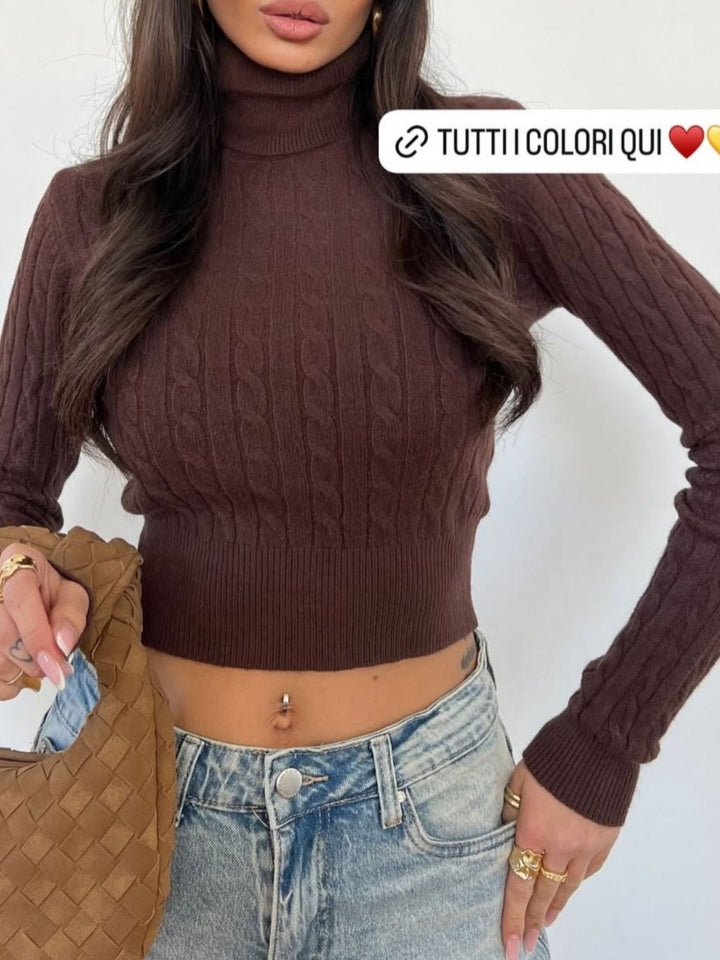 Maglione con collo alto a costine con motivo intreccio aderente elasticizzato Marrone Level Stores