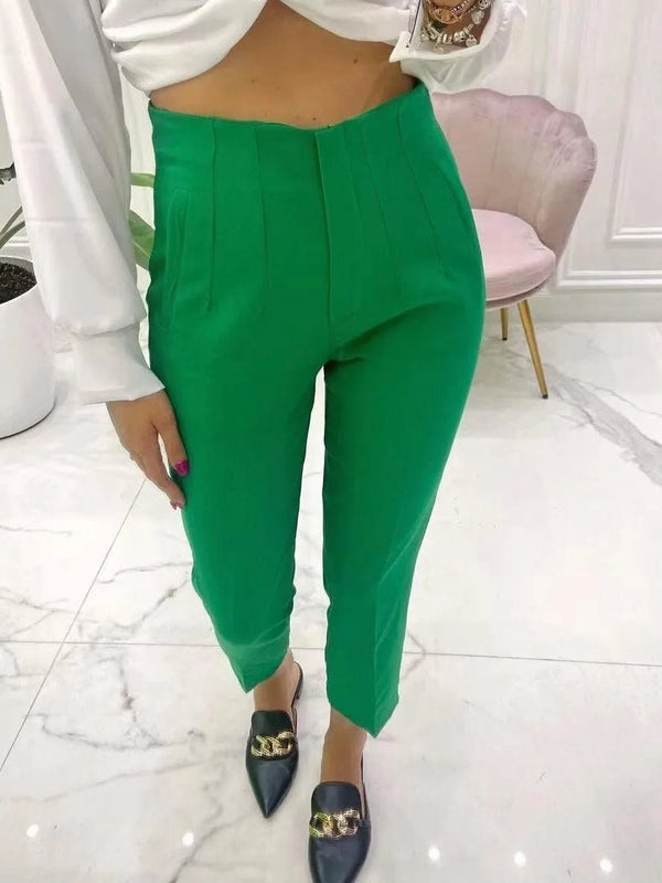 Pantalone modello classico a vita alta con pinces - Verde - Level Stores